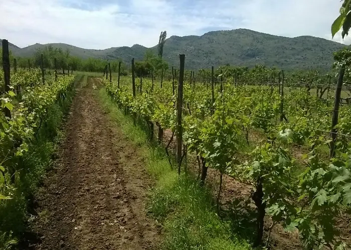 Airport ポドゴリツァ